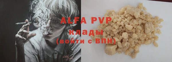 стаф Алексин