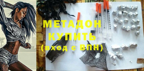 стаф Алексин