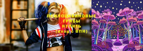 стаф Алексин