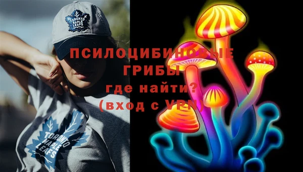 гидра Алзамай