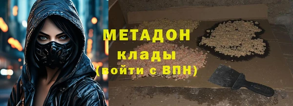 стаф Алексин